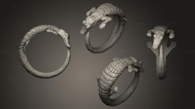 Jewelry rings Crocodile ring 3d model